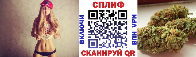 Купить  Кондопога  Каннабис VHQ 